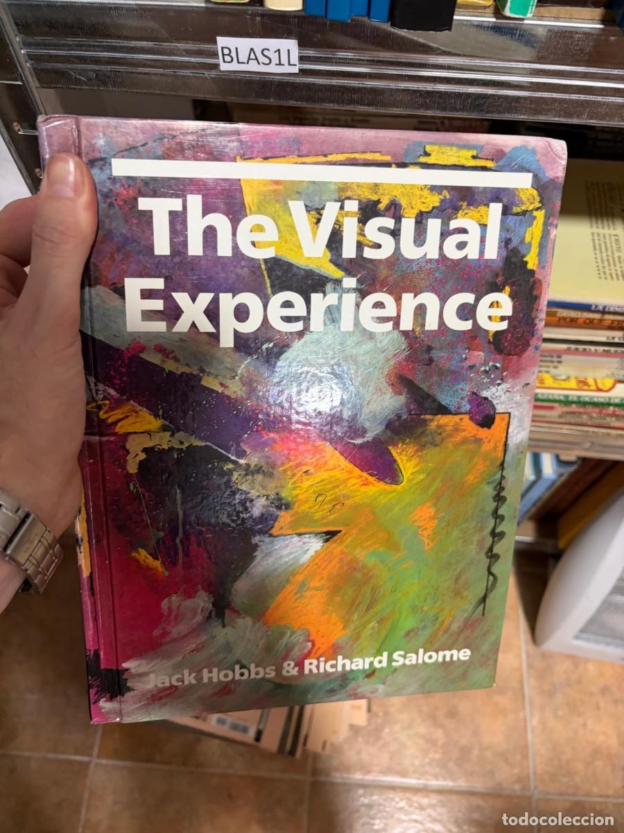 Libros de segunda mano: BLAS1L Jack Hobbs &middot; Richard Salome The Visual Experience
