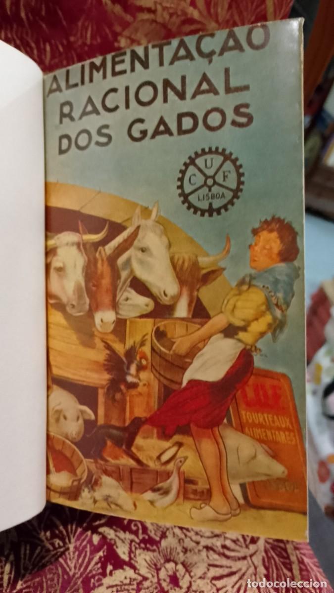 Second hand books: CUF Companhia Uni&atilde;o Fabril - Ant&oacute;nio Lu&iacute;s de Seabra