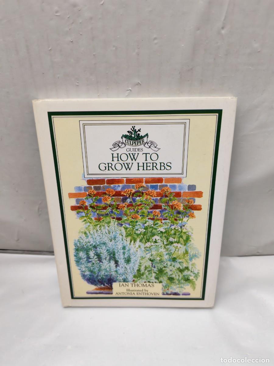 Livres d'occasion: How to Grow Herbs (Guides Culpeper, Hardcover)