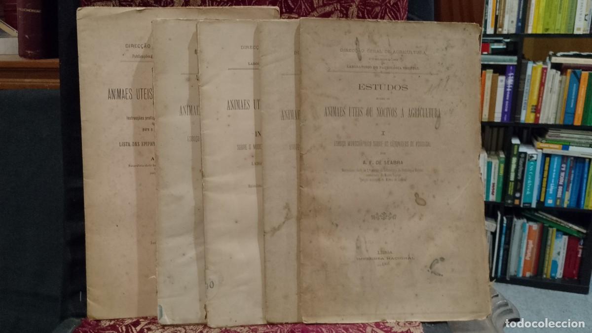 Libros de segunda mano: Animais uteis ou nocivos &agrave; Agricultura 1905 A. F. de Seabra
