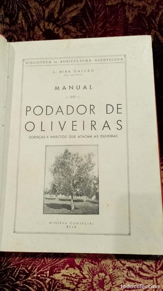 Libros de segunda mano: Manual do Podador de Oliveiras 1939 J. Mira Galv&atilde;o