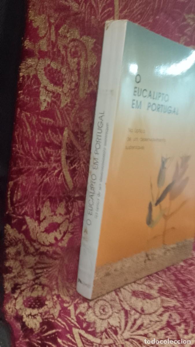 Libros de segunda mano: O Eucalipto em Portugal - Foto 2