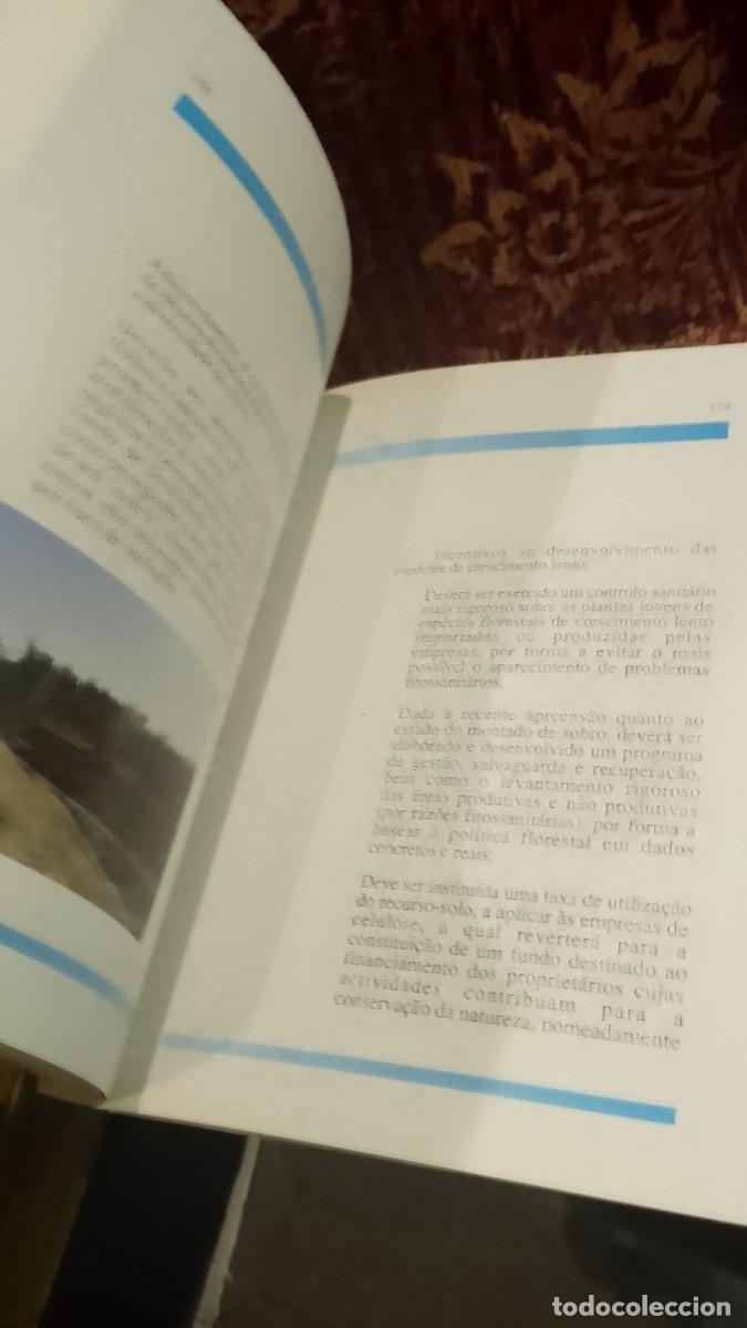 Libros de segunda mano: O Eucalipto em Portugal - Foto 3
