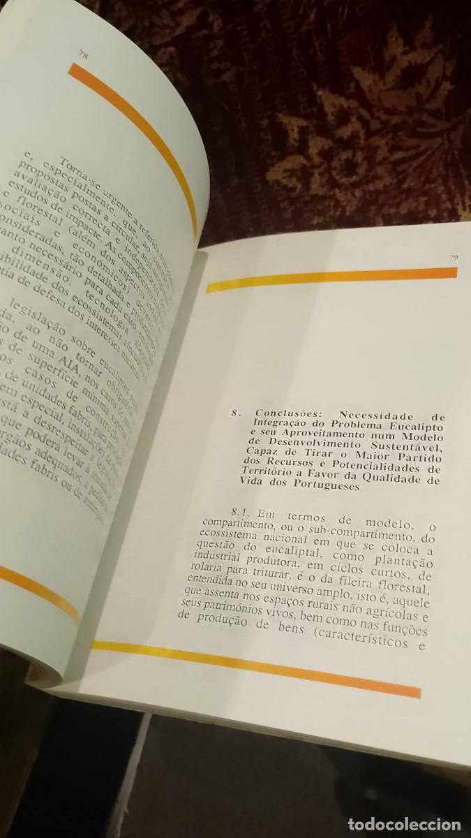 Libros de segunda mano: O Eucalipto em Portugal - Foto 4