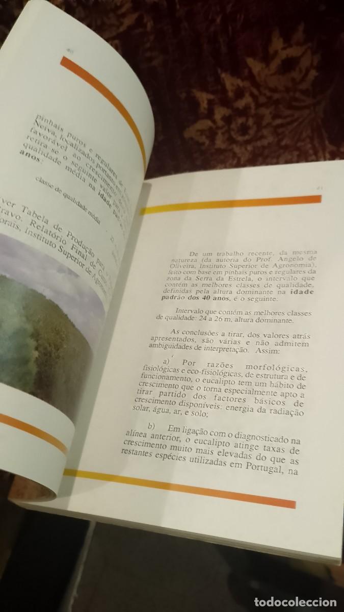 Libros de segunda mano: O Eucalipto em Portugal - Foto 6