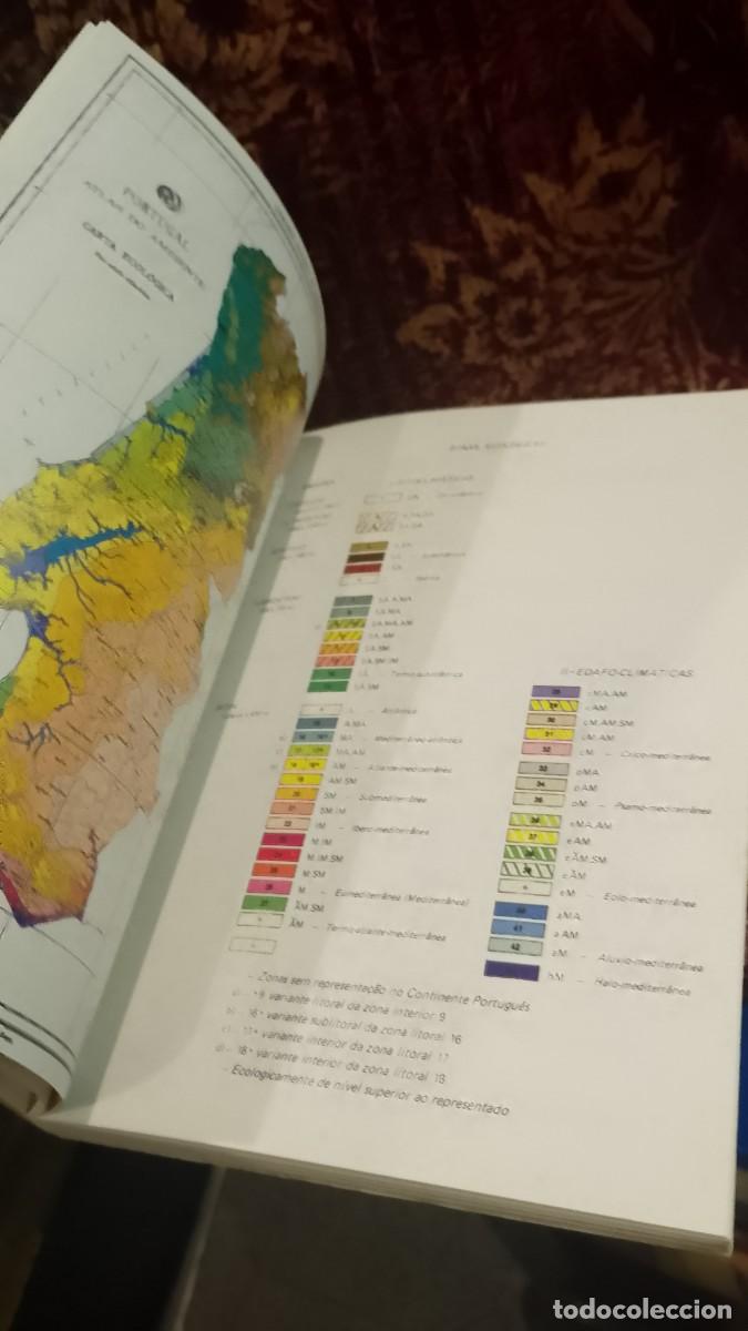 Libros de segunda mano: O Eucalipto em Portugal - Foto 7