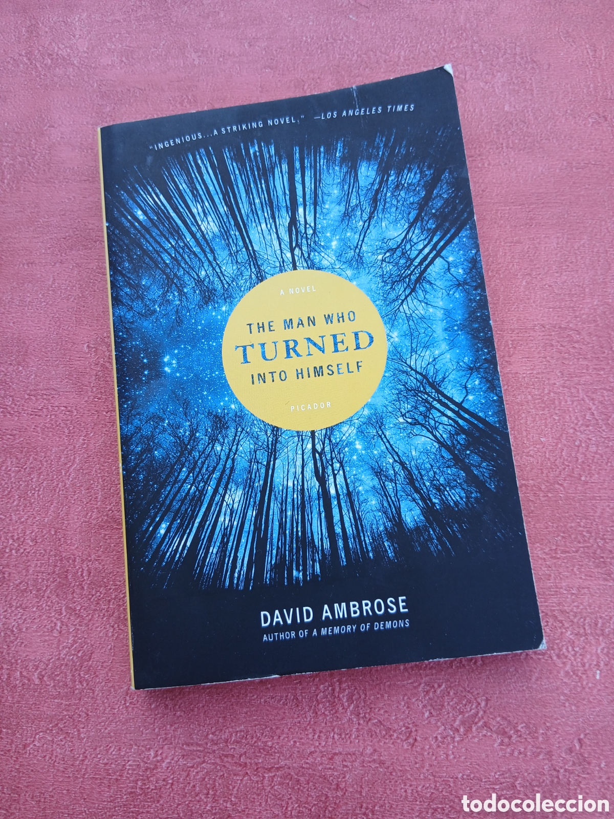 Libros de segunda mano: The man who turned into himself. David Ambrose.