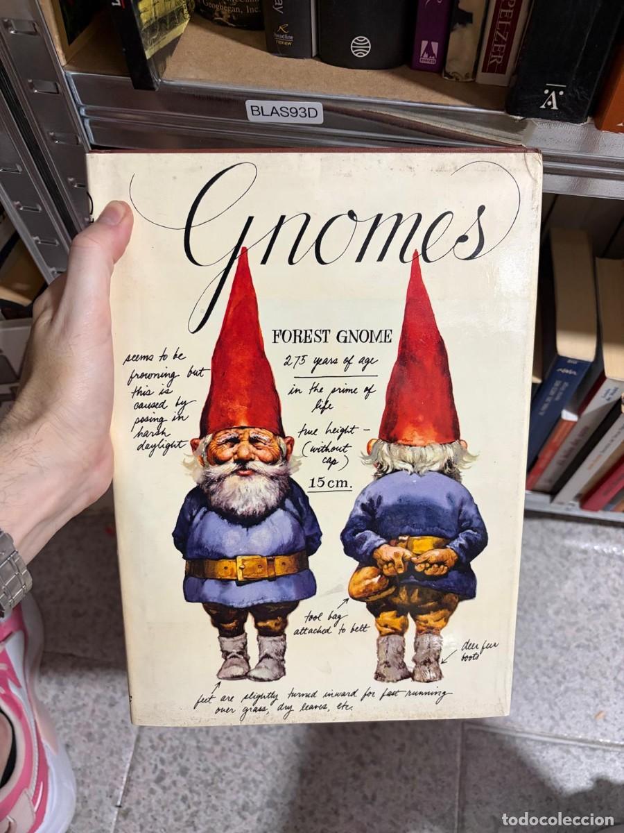 Libros de segunda mano: BLAS93D Wil Huygen Gnomes Harry N. Abrams. (English edition, hardcover)