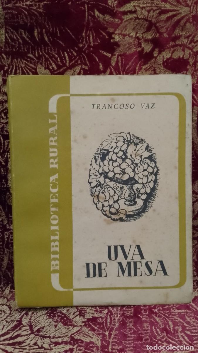 Libros de segunda mano: Uva de Mesa 1955 Trancoso Vaz