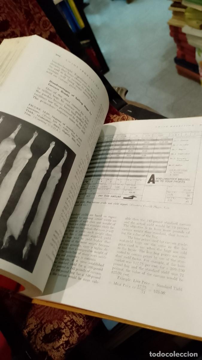 Libros de segunda mano: Swine Production - Clarence E. Bundy - Foto 4