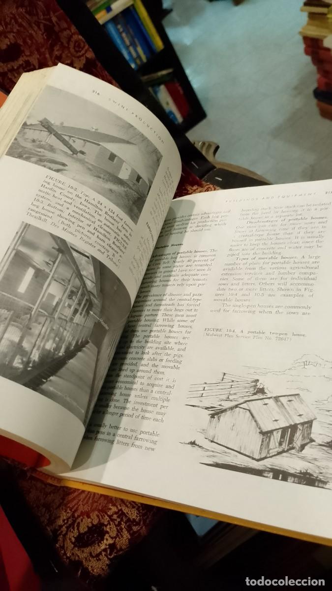 Libros de segunda mano: Swine Production - Clarence E. Bundy - Foto 5