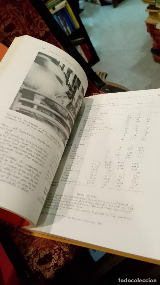 Libros de segunda mano: Swine Production - Clarence E. Bundy - Foto 6