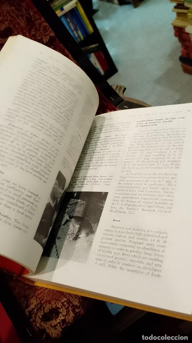 Libros de segunda mano: Swine Production - Clarence E. Bundy - Foto 7