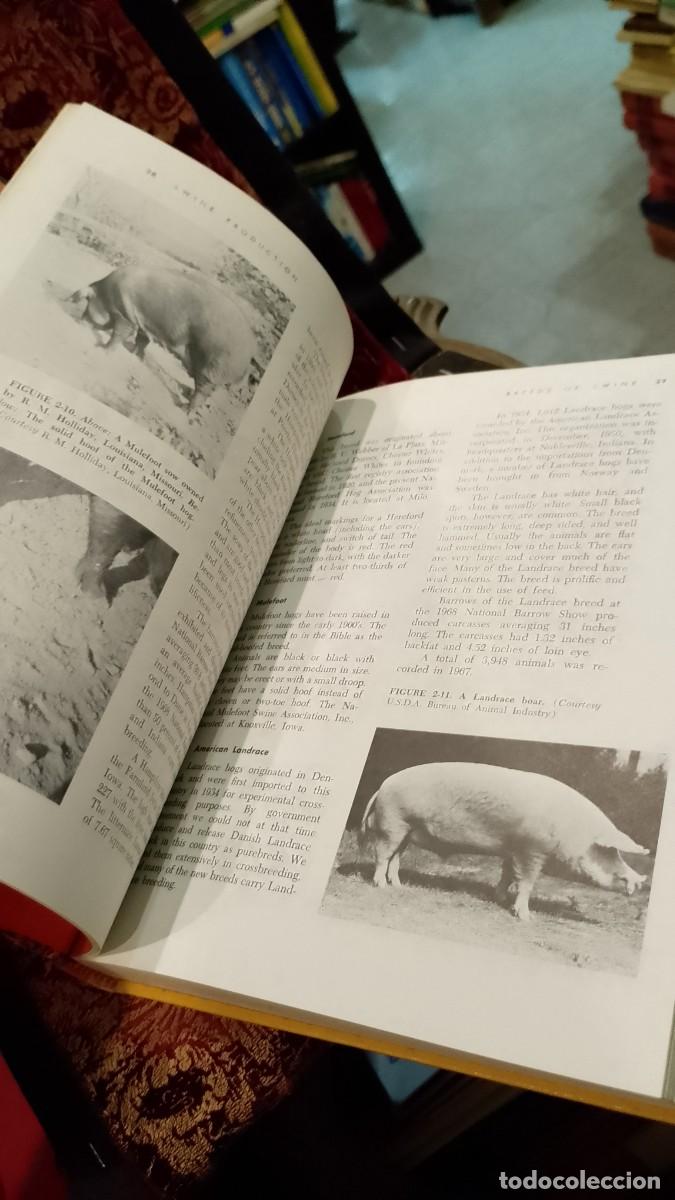 Libros de segunda mano: Swine Production - Clarence E. Bundy - Foto 8