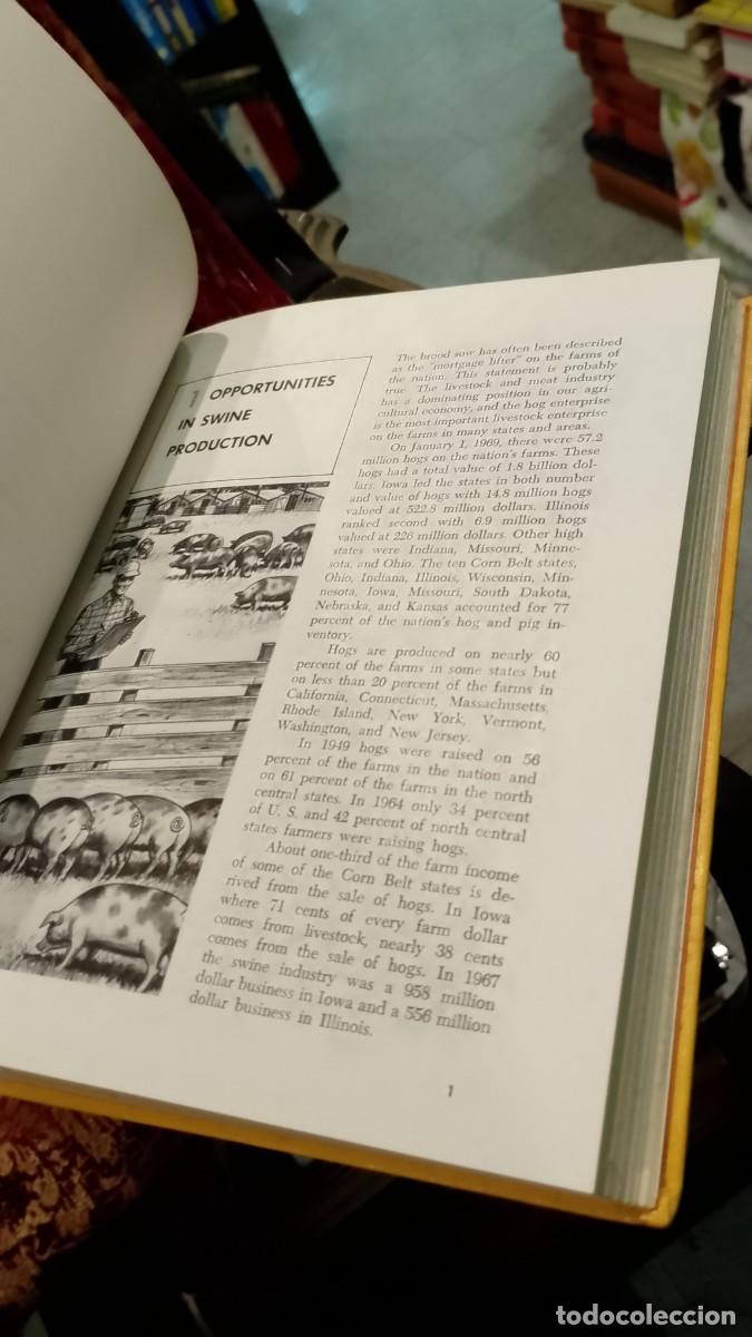 Libros de segunda mano: Swine Production - Clarence E. Bundy - Foto 9