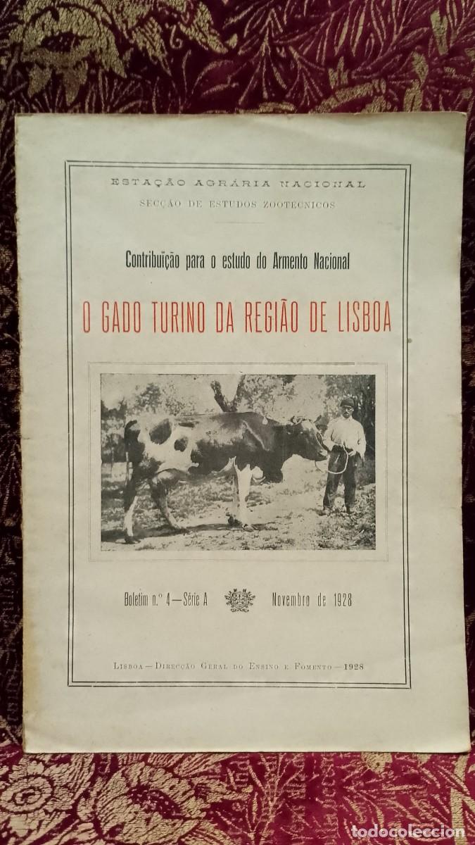 Libros de segunda mano: O Gado Turino da Regi&atilde;o de Lisboa 1928