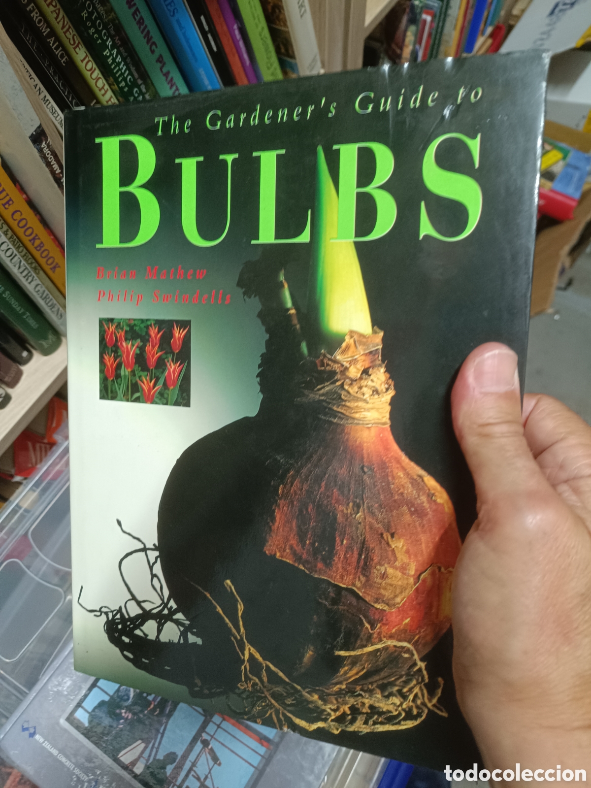 Libros de segunda mano: The Gardener's Guide to Bulbs