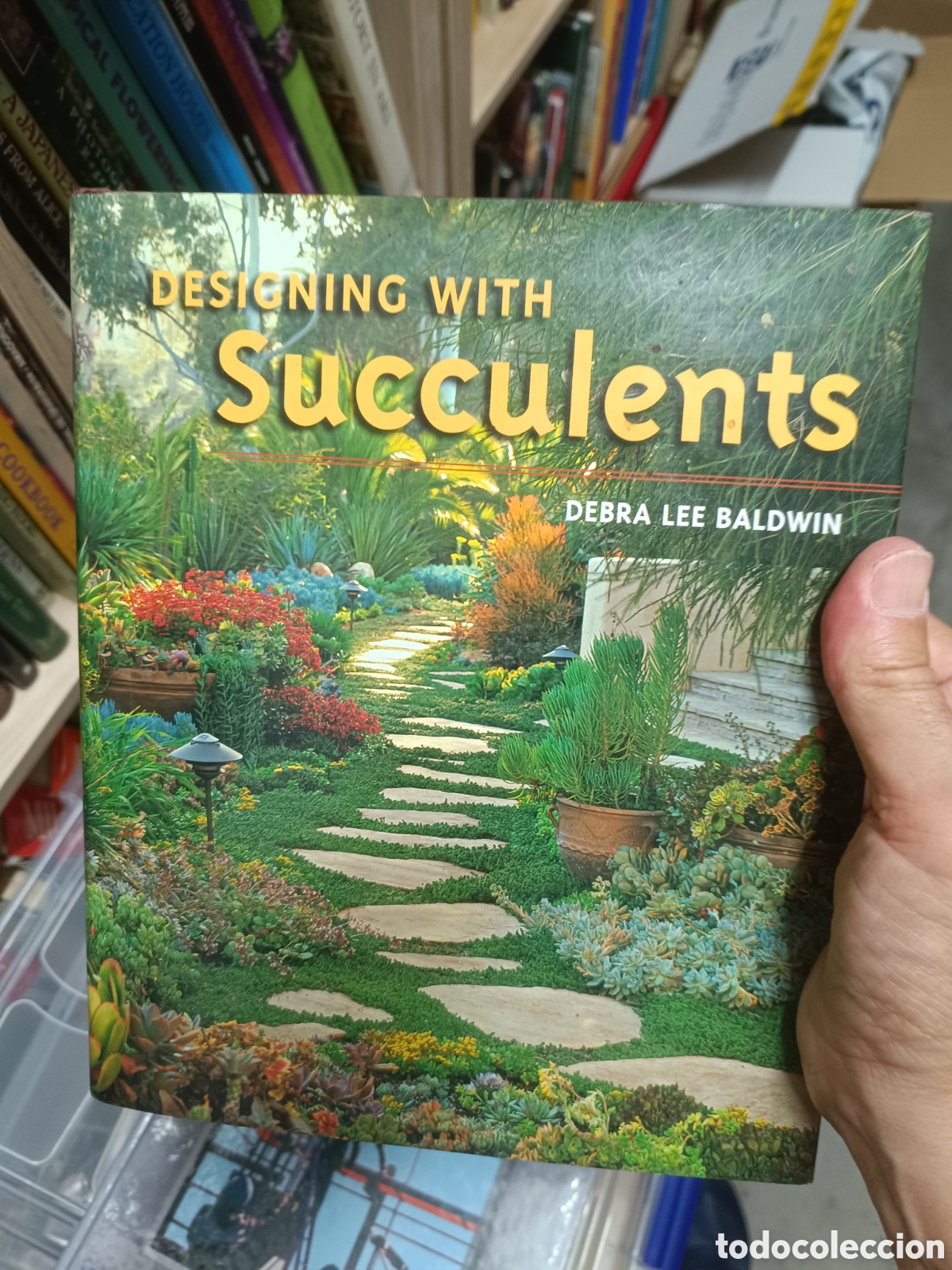 Libros de segunda mano: Designing with Succulents - Debra Lee Baldwin