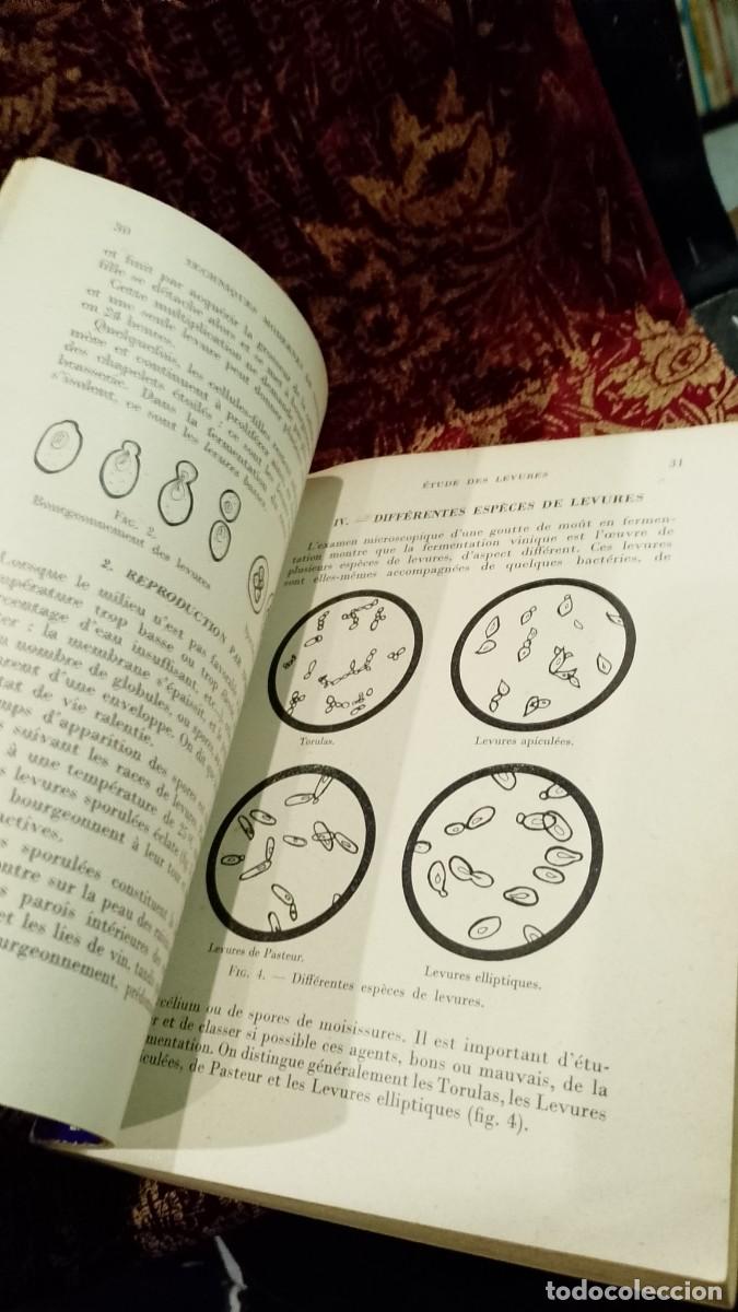 Libros de segunda mano: Techniques Modernes de Vinification 1957 E. Br&eacute;mond - Foto 5