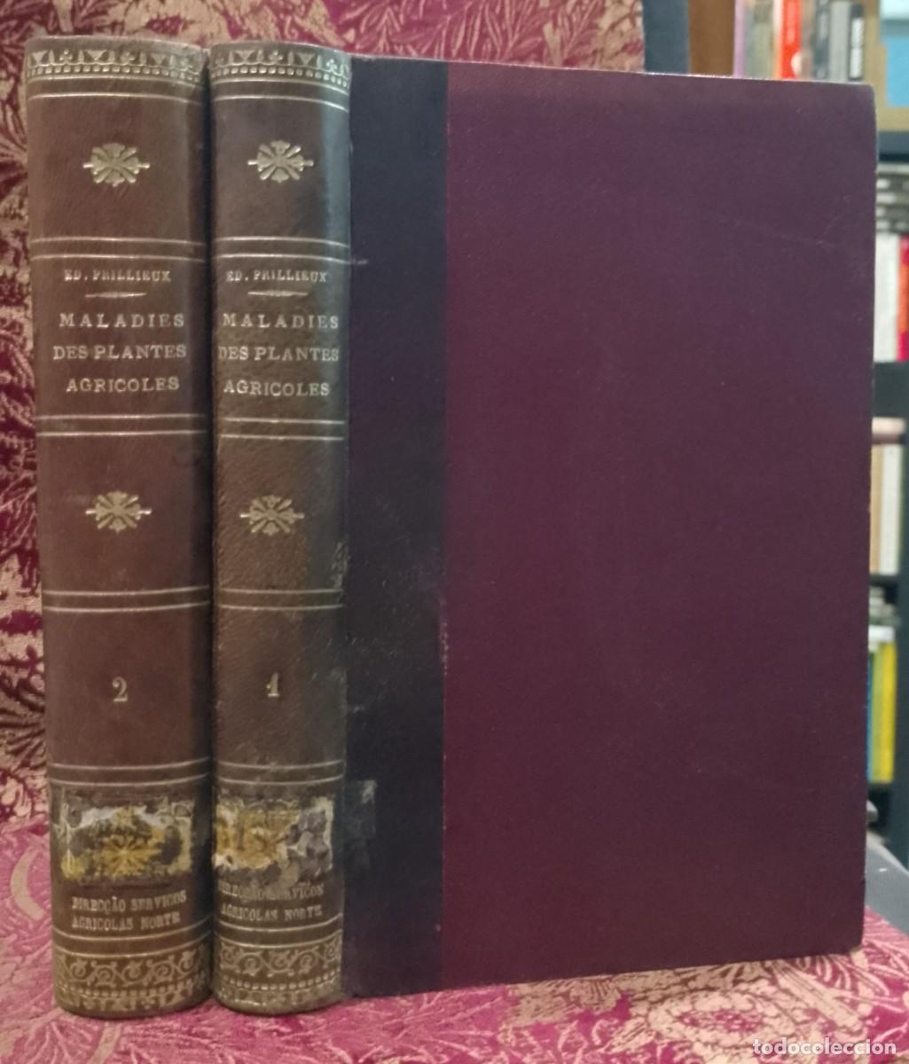 Libros de segunda mano: Maladies des Plantes Agricoles 1895 Ed. Prillieux