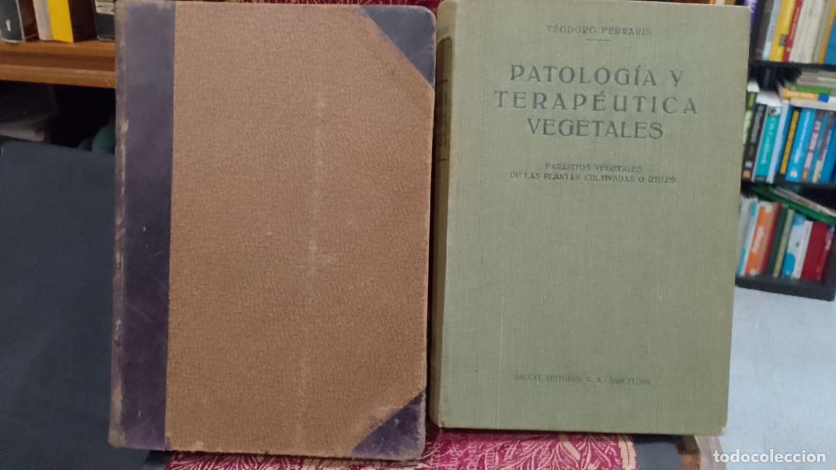 Libros de segunda mano: Tratado Patologia y Terap&eacute;utica Vegetales 1930