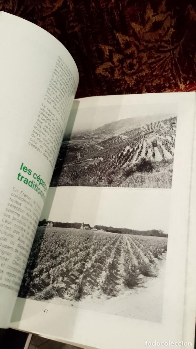 Libros de segunda mano: Guide de la Plantation des Vignes 1971 - Foto 6