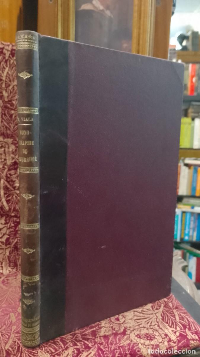 Libros de segunda mano: Monographie de Pourridi&eacute; 1891 Pierre Viala
