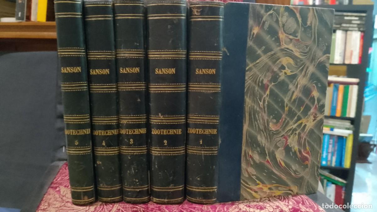 Libros de segunda mano: Trait&eacute; de Zootechnie ou &Eacute;conomie du B&eacute;tail 1882 Andr&eacute; Sanson