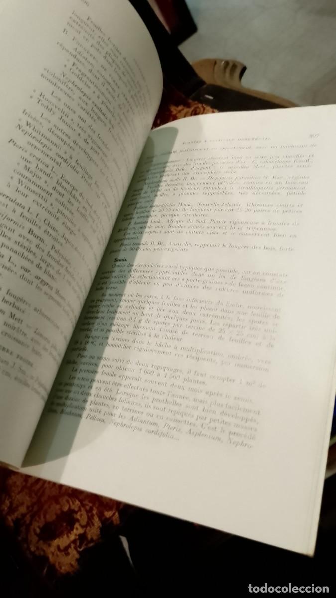 Libros de segunda mano: Cultures Florales 1960 R. Bossard - Foto 3