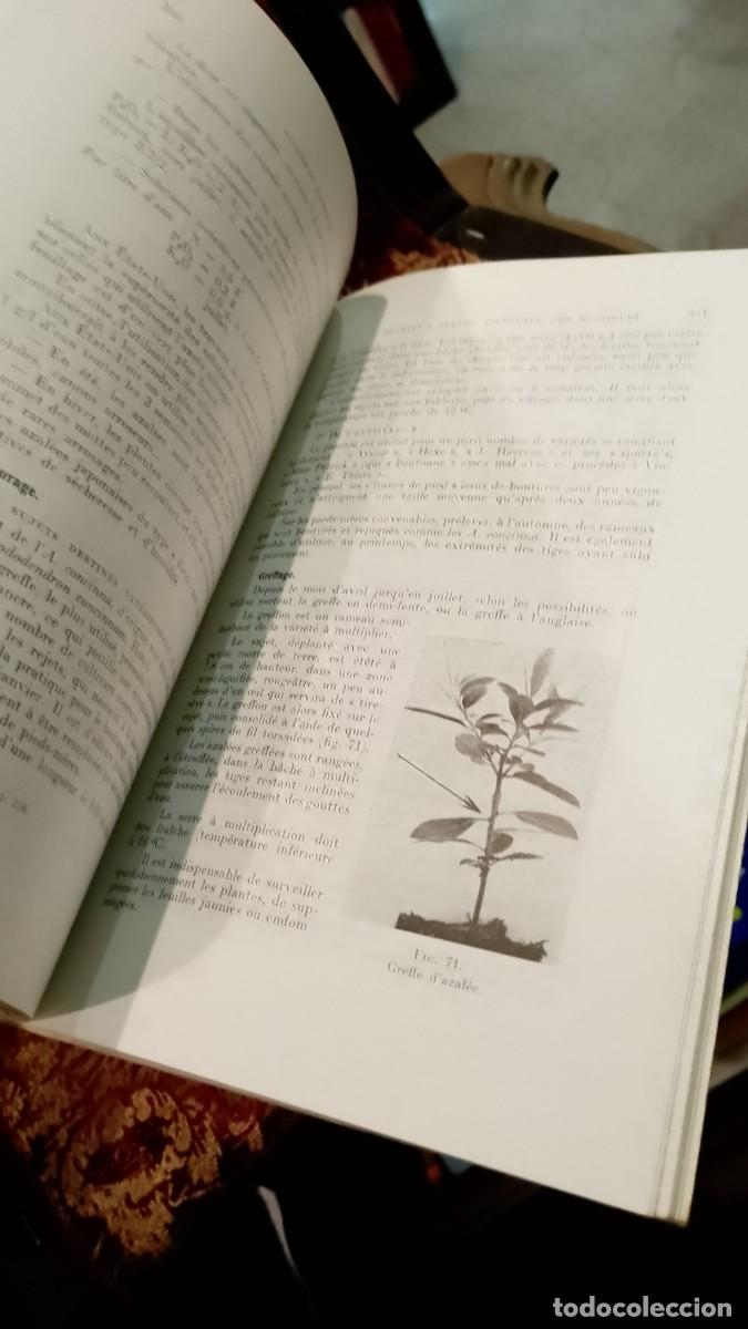 Libros de segunda mano: Cultures Florales 1960 R. Bossard - Foto 4
