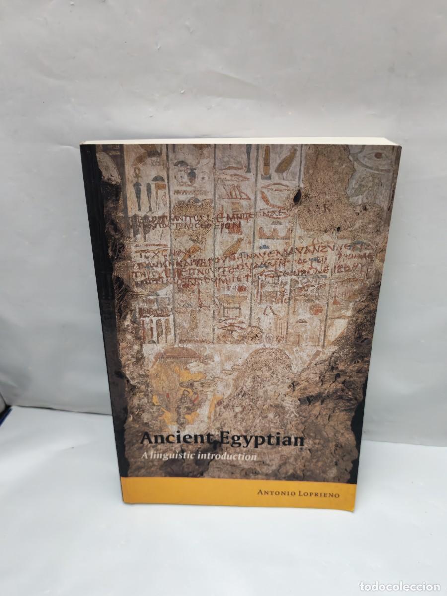 Second hand books: Ancient Egyptian: A Linguistic Introduction