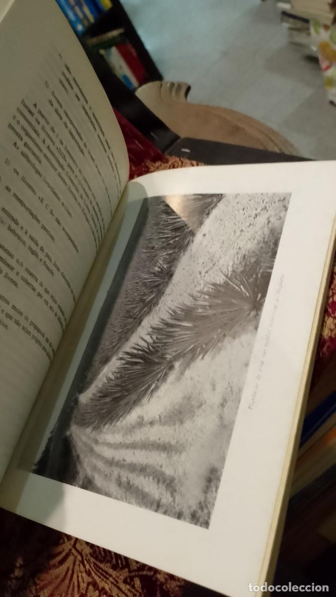 Libros de segunda mano: Israel 1963 Ao Servi&ccedil;o da Exporta&ccedil;&atilde;o - Foto 7