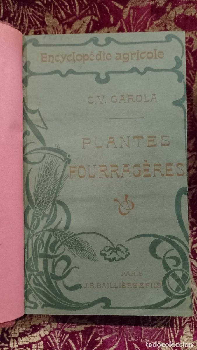 Libros de segunda mano: Plantes Fourrag&egrave;res 1904 C. V. Garola