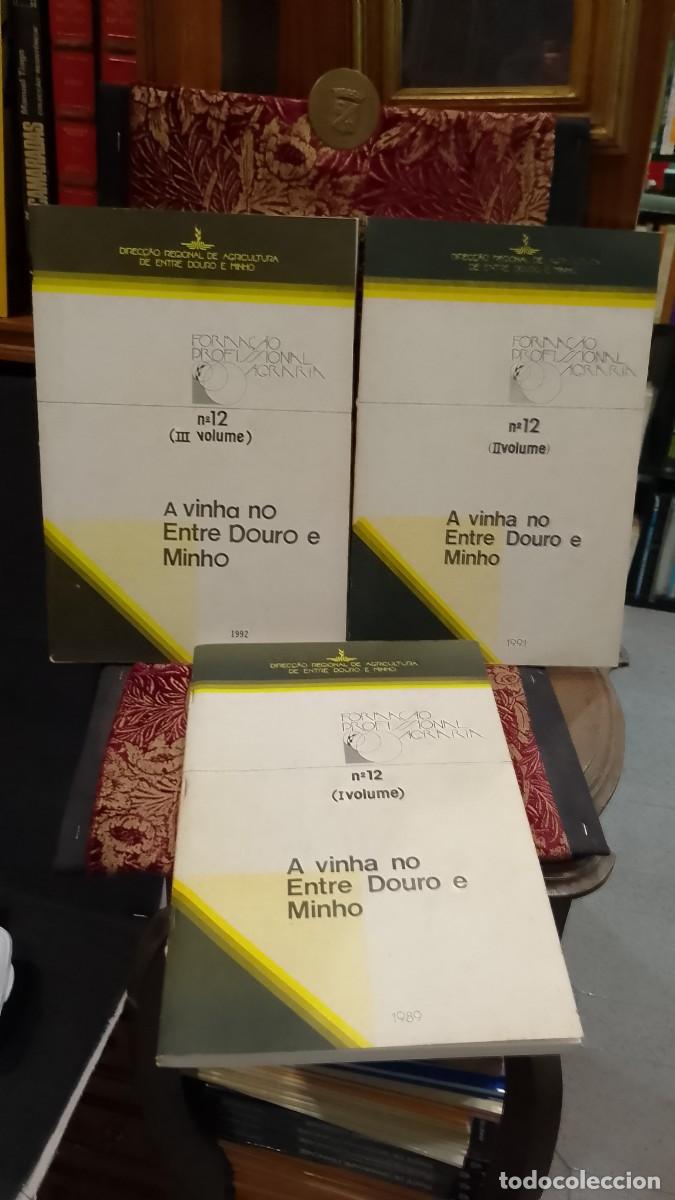 Libros de segunda mano: A Vinha no Entre Douro e Minho 1991 Forma&ccedil;&atilde;o Profissional Agr&aacute;ria