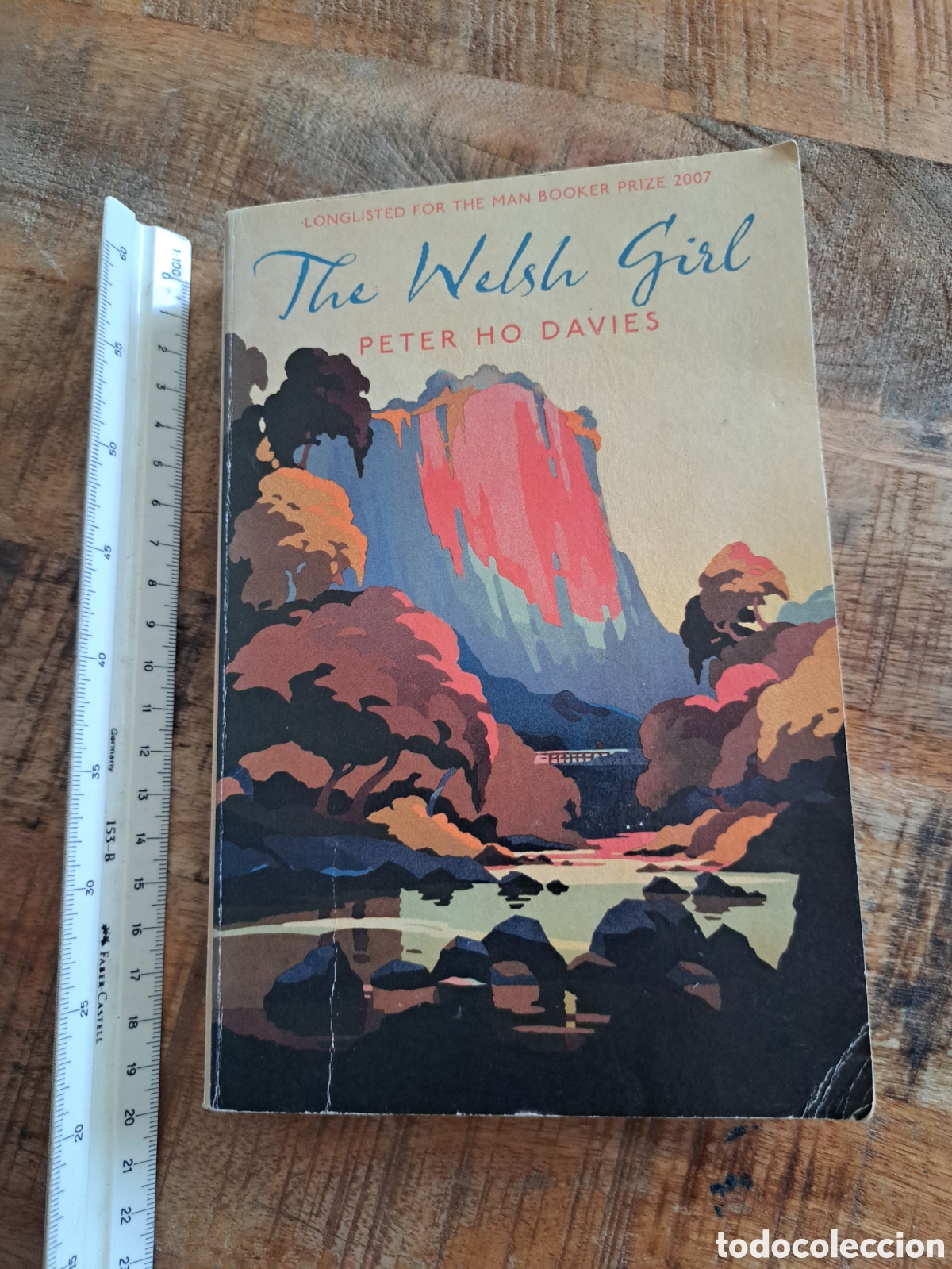 Libros de segunda mano: Jml Peter Ho Davies. The Welsh Girl. En ingles. Sceptre