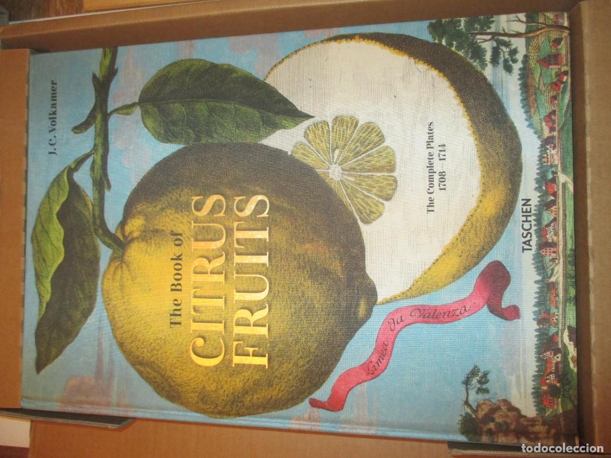 Libros de segunda mano: J.C. VOLKAMER The book of citrus fruits ( facsimil)( ingl&eacute;s) W41468