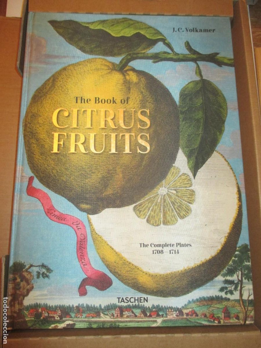 Libros de segunda mano: J.C. VOLKAMER The book of citrus fruits ( facsimil)( ingl&eacute;s) W41468