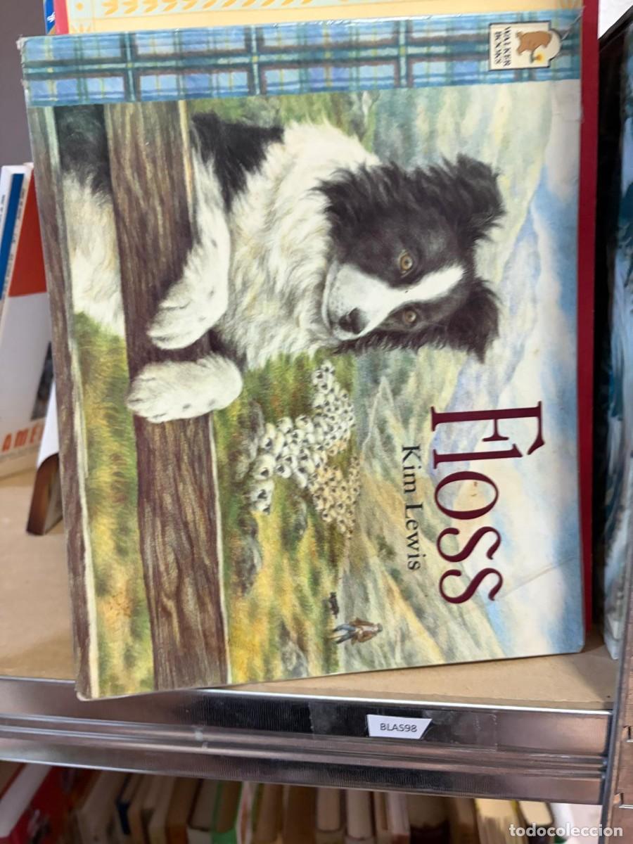 Libros de segunda mano: BLAS98 Floss - Kim Lewis -Parragon - english