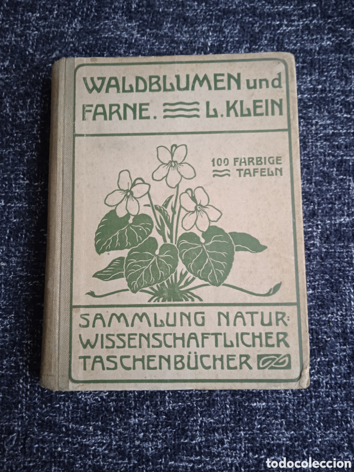 Libros de segunda mano: Unfere Waldblumen und Farnew&auml;chte / Ludwig Klein -EN ALEMAN