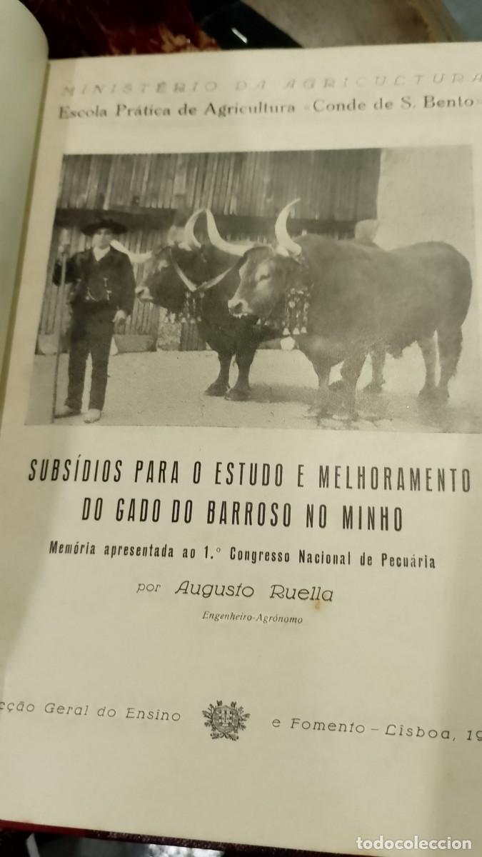 Libros de segunda mano: Minho etc, Agricultura, Pecu&aacute;ria 1928 Congresso 9 unidades