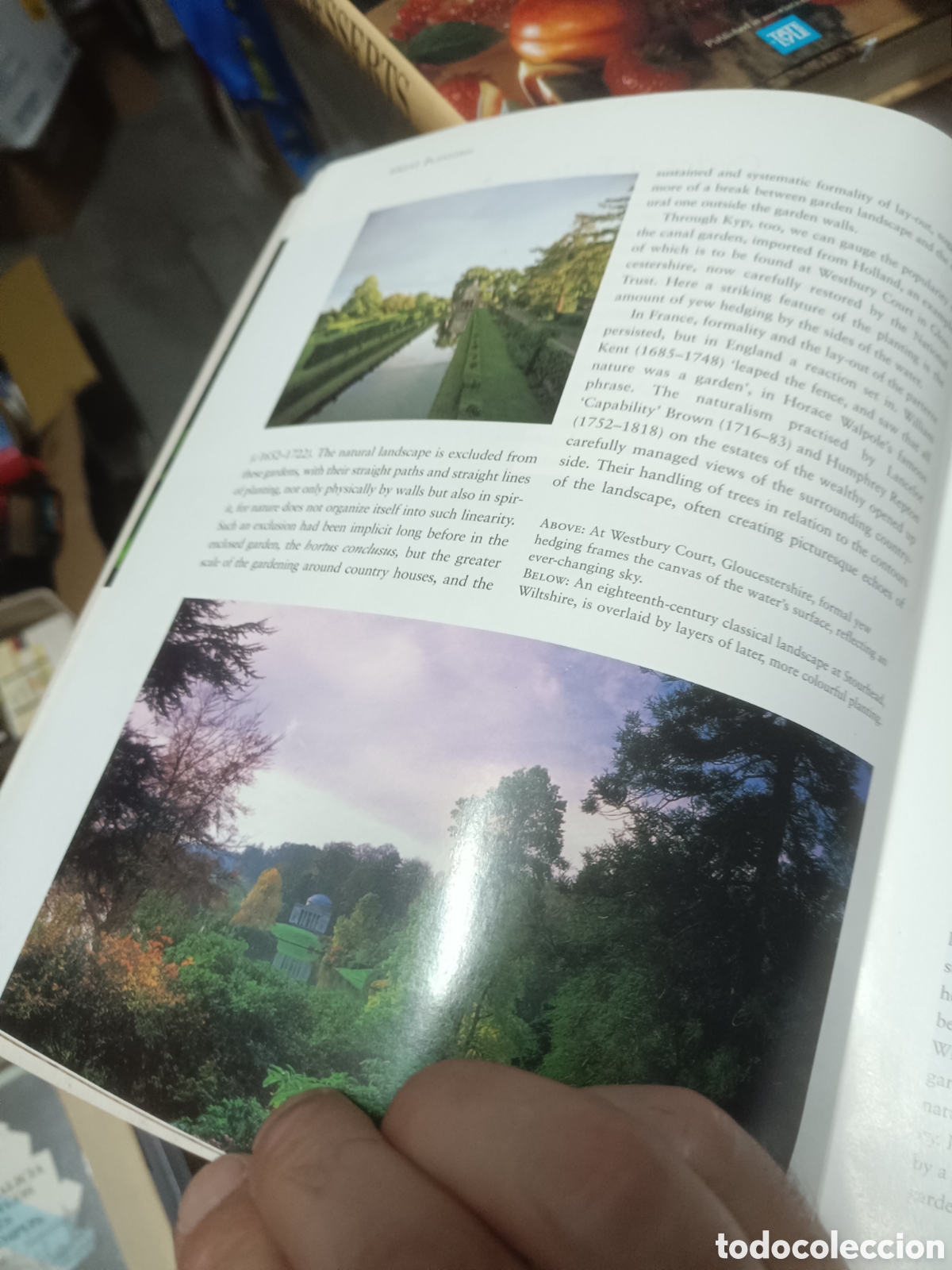 Libros de segunda mano: Great Planting - Lucy Gent - Foto 2