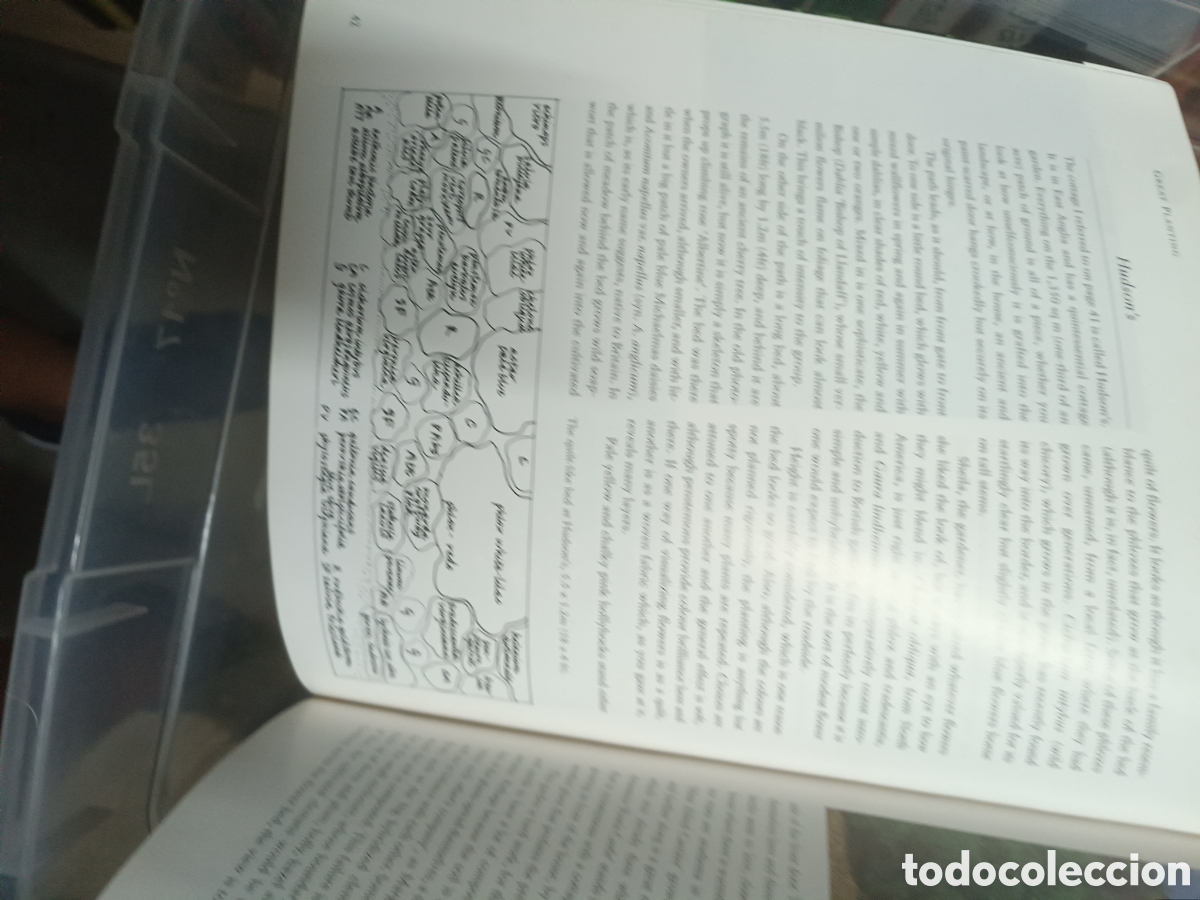 Libros de segunda mano: Great Planting - Lucy Gent - Foto 3