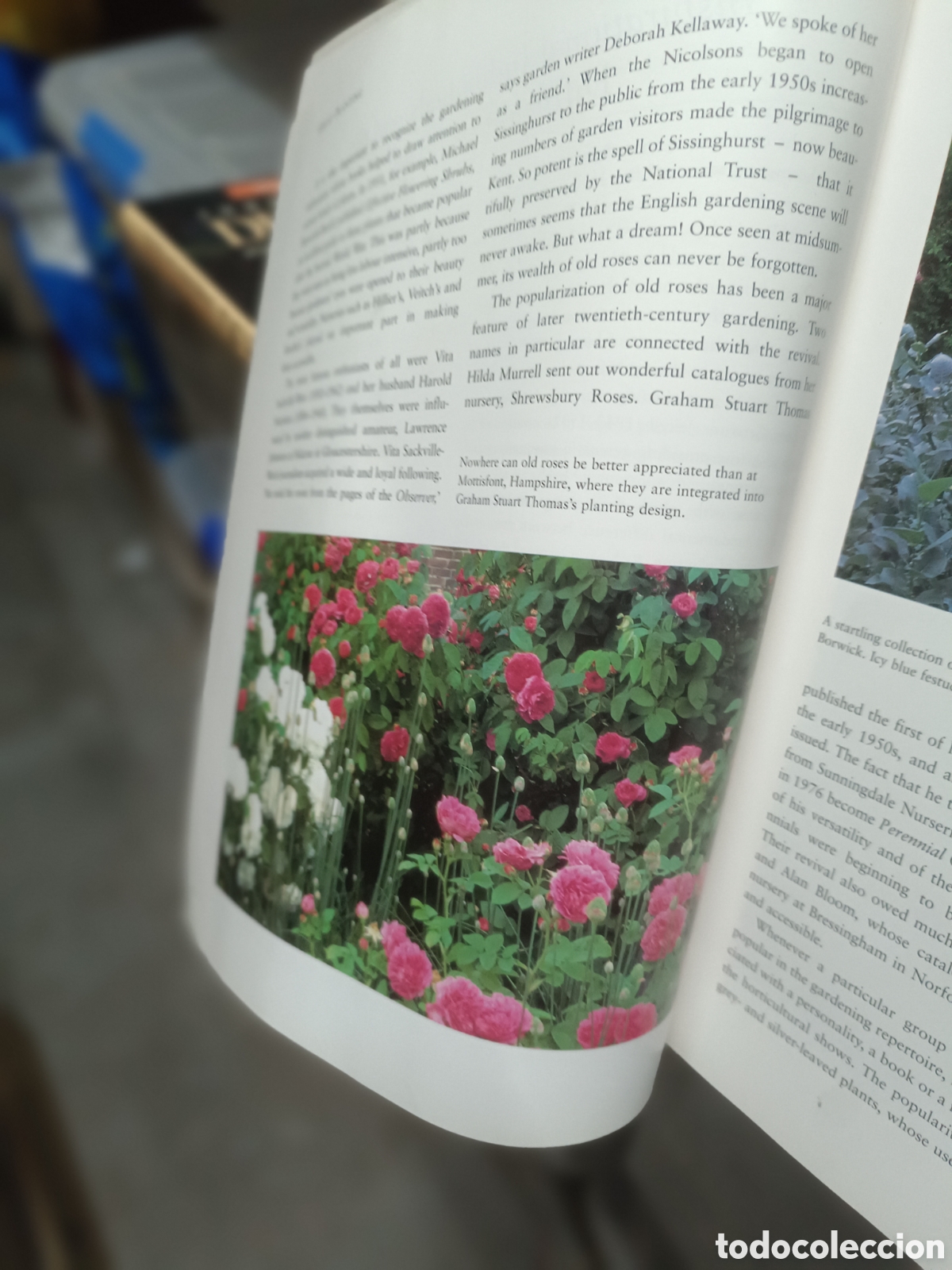 Libros de segunda mano: Great Planting - Lucy Gent - Foto 4