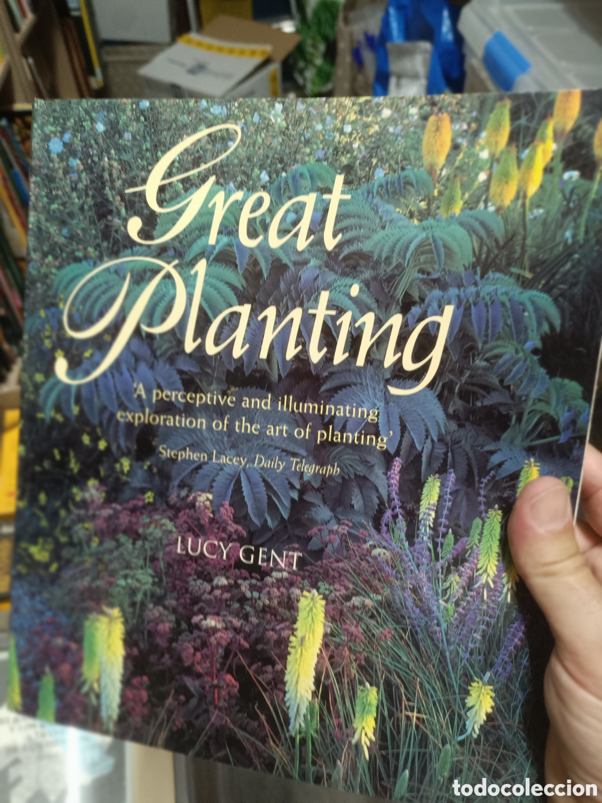 Libros de segunda mano: Great Planting - Lucy Gent