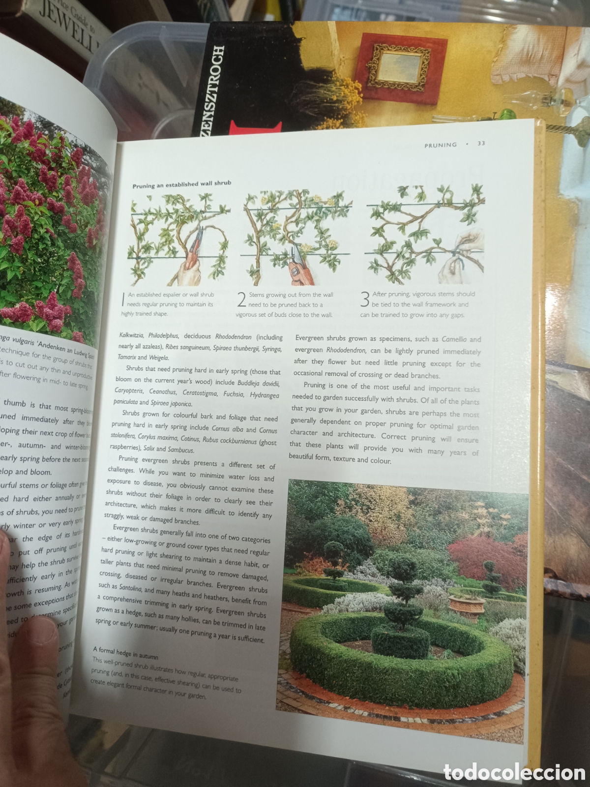 Libros de segunda mano: The Gardeners Guide to Shrubs - Foto 2