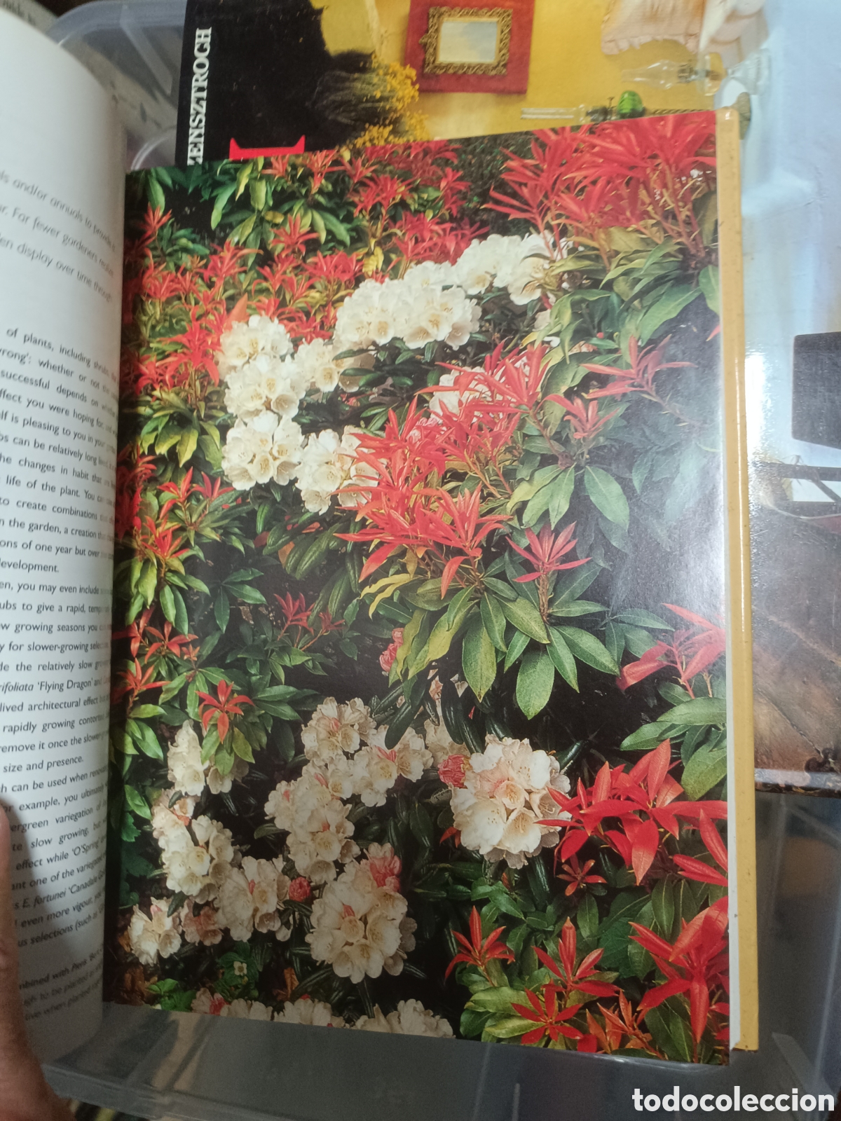 Libros de segunda mano: The Gardeners Guide to Shrubs - Foto 3