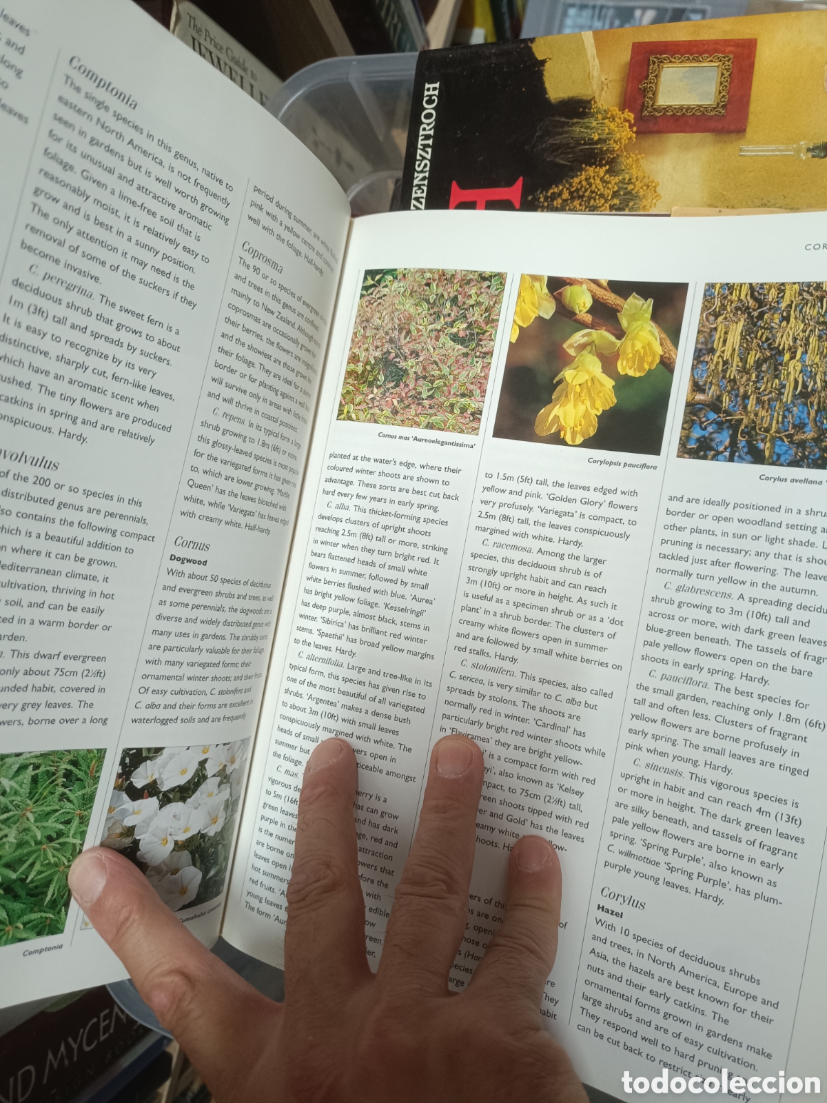 Libros de segunda mano: The Gardeners Guide to Shrubs - Foto 4