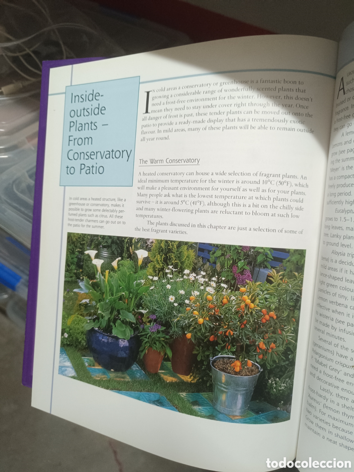 Libros de segunda mano: Scented Containers - Sue Fisher - Foto 2