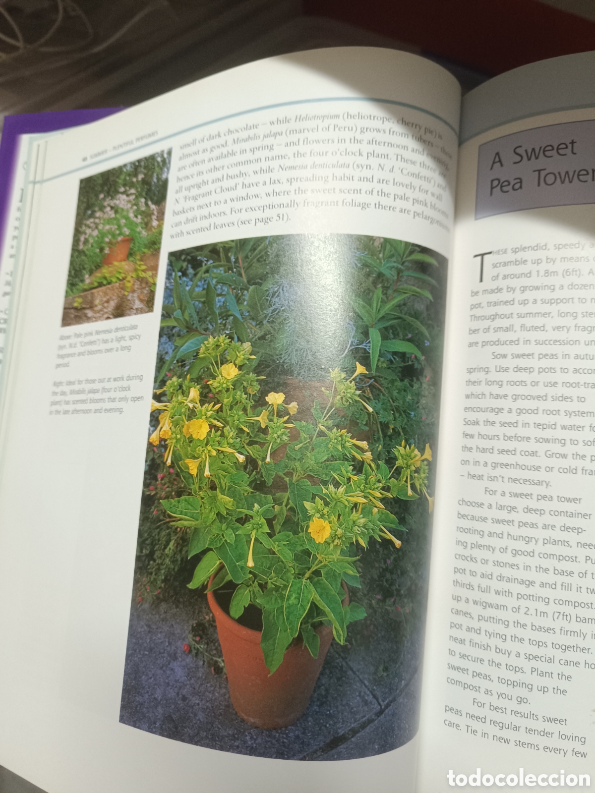 Libros de segunda mano: Scented Containers - Sue Fisher - Foto 4