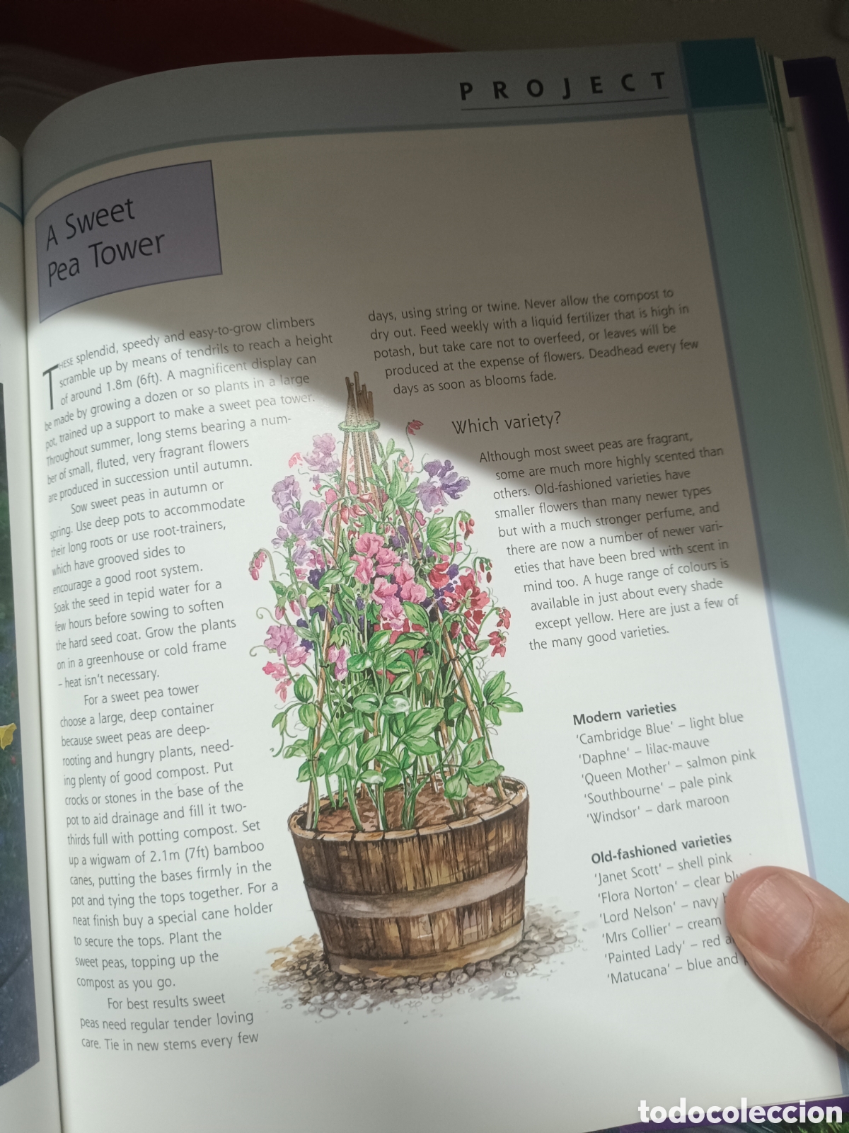 Libros de segunda mano: Scented Containers - Sue Fisher - Foto 5